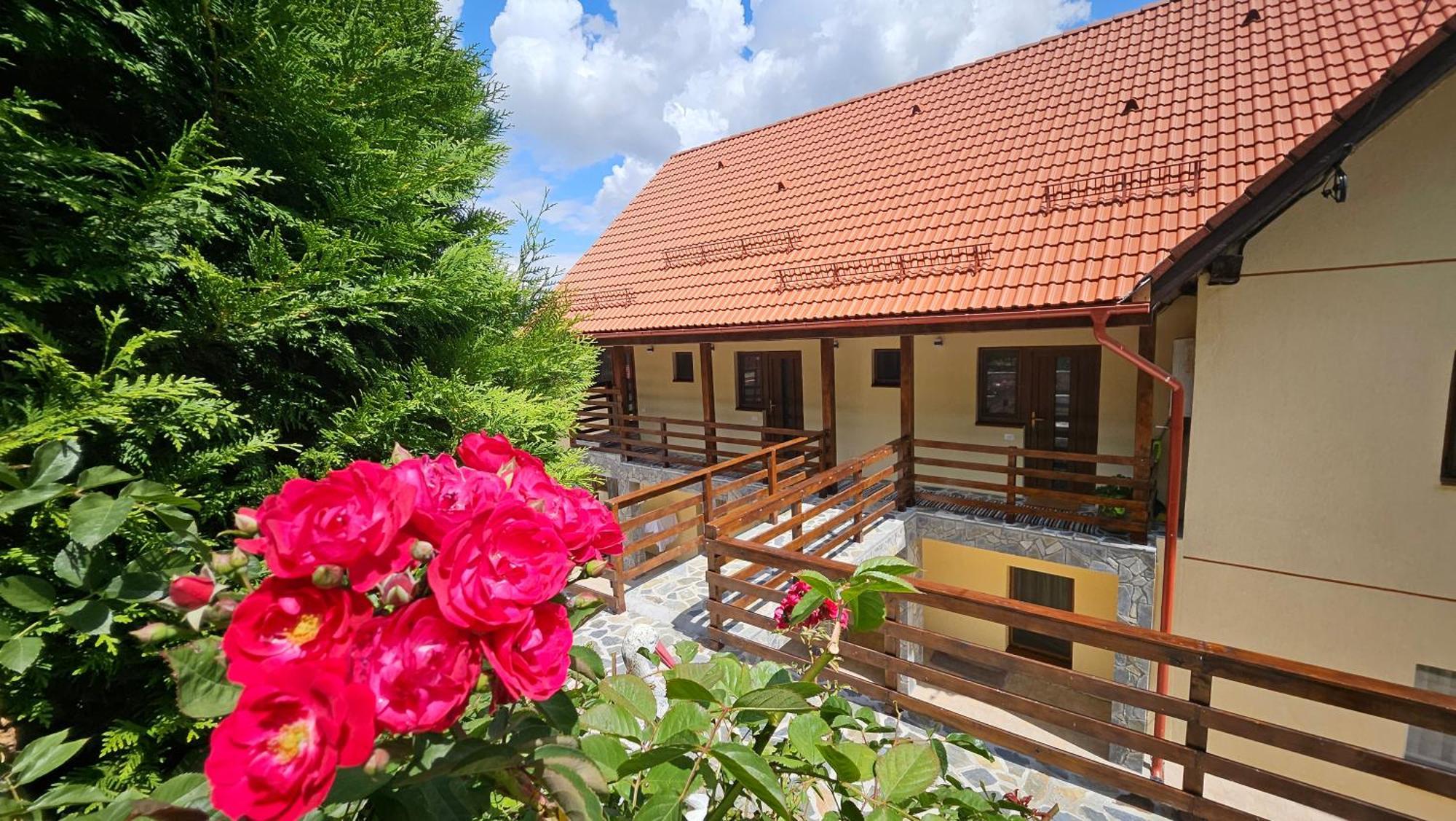 Matei Residence 브라쇼브 외부 사진