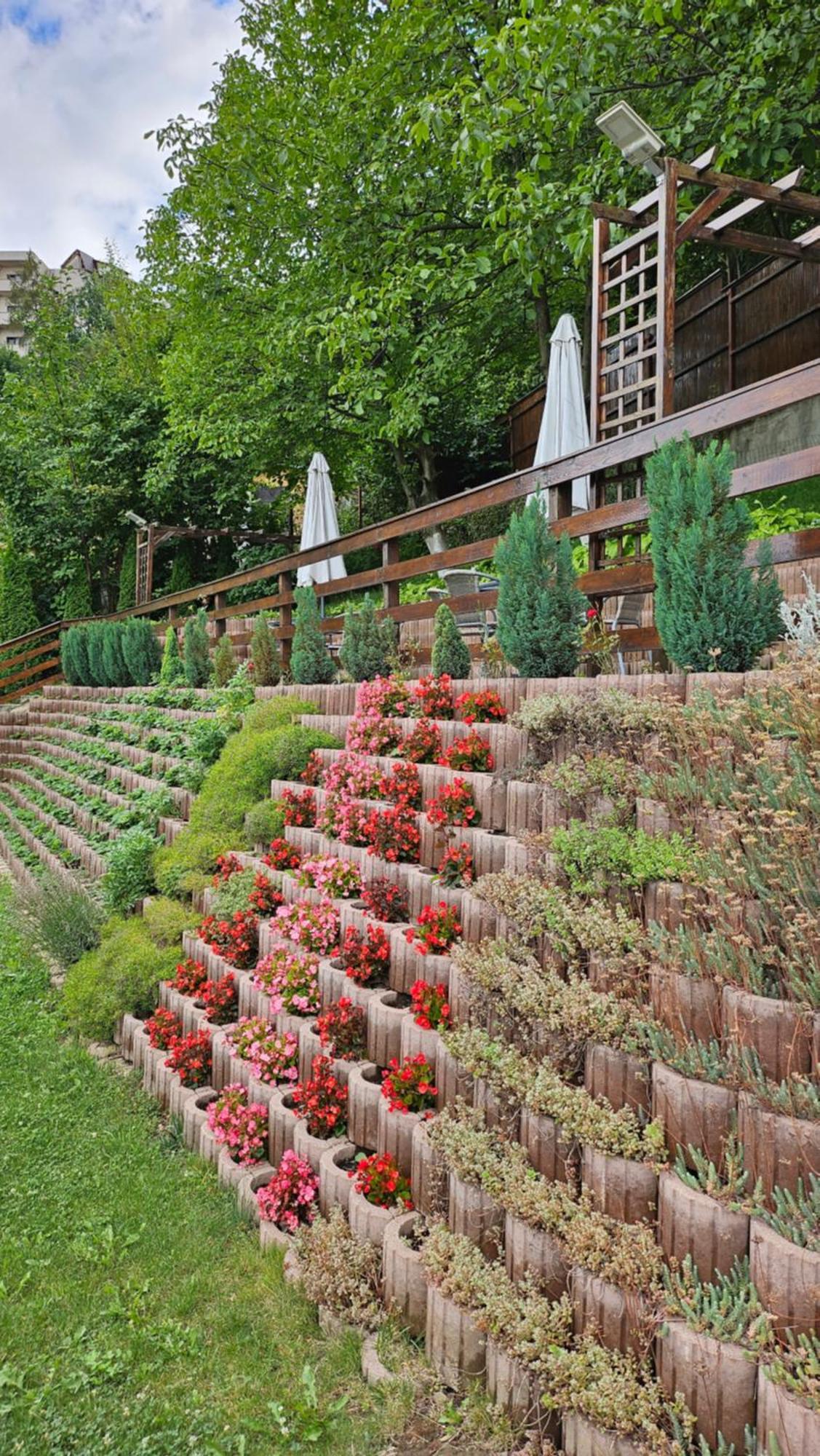 Matei Residence 브라쇼브 외부 사진
